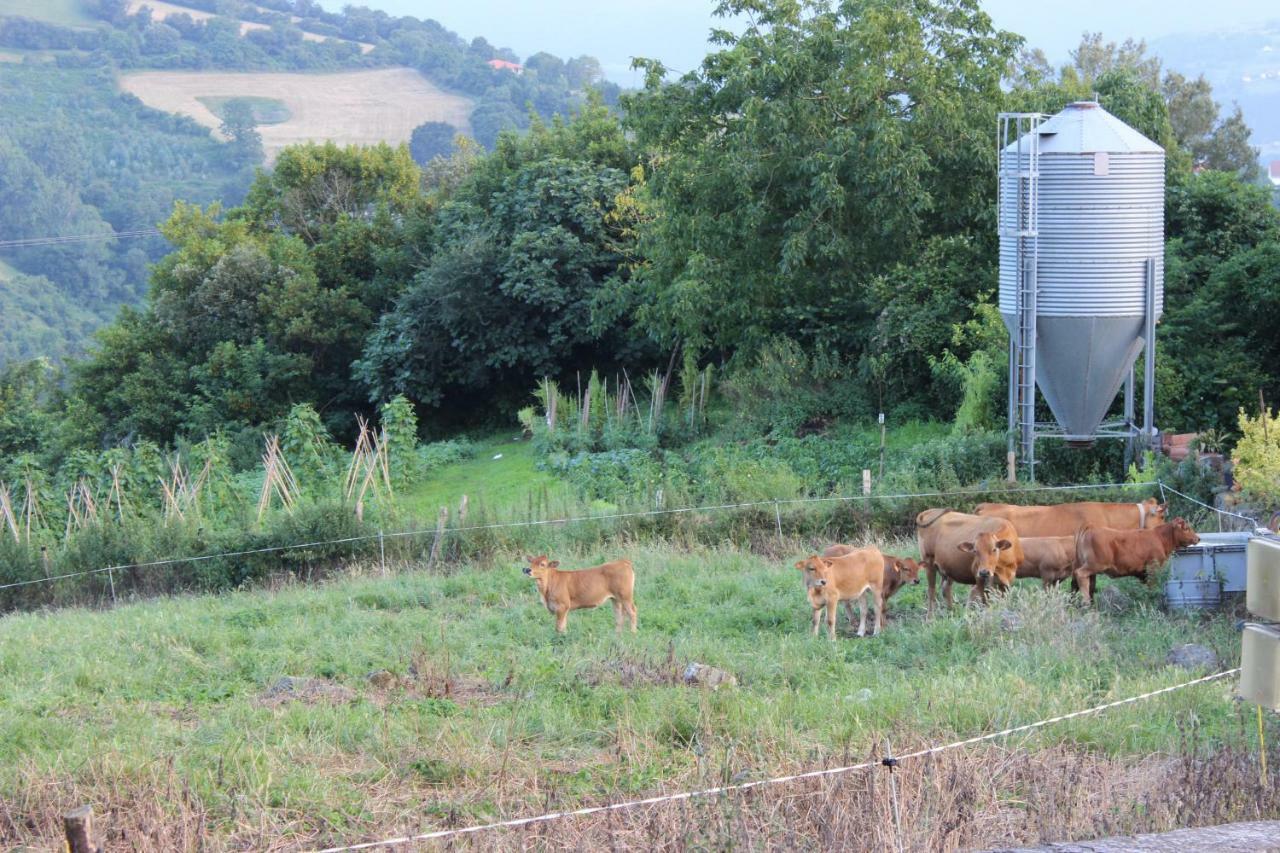 Amets Etxalde Βίλα Santecilla Εξωτερικό φωτογραφία